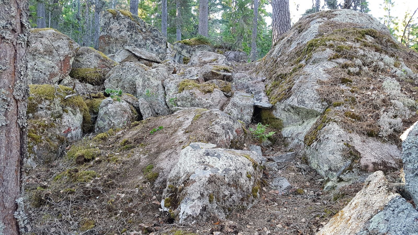 20180530_193549.jpg