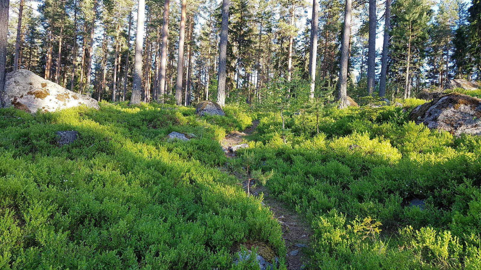 20180530_200838.jpg