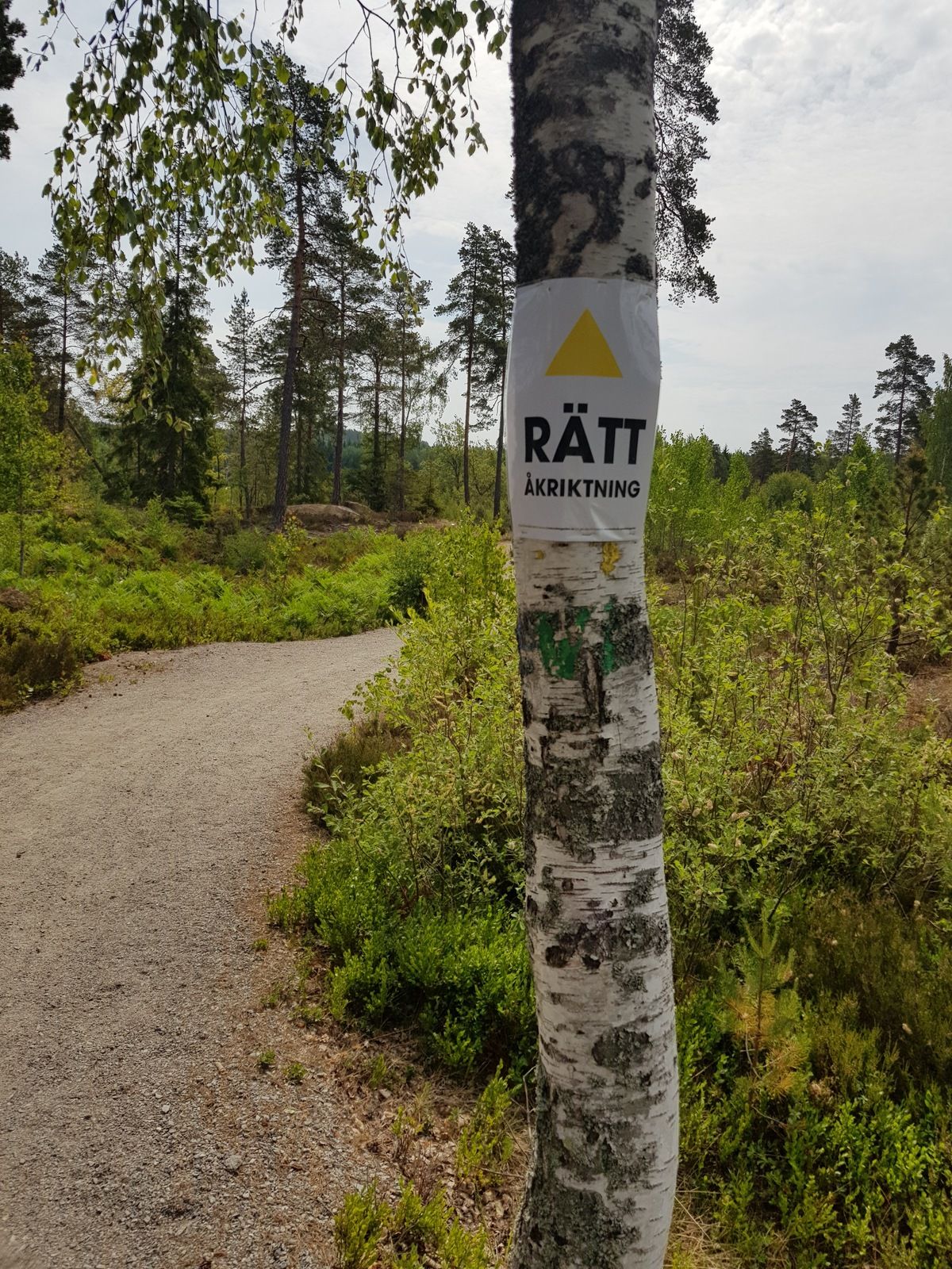 20180610_104523.jpg
