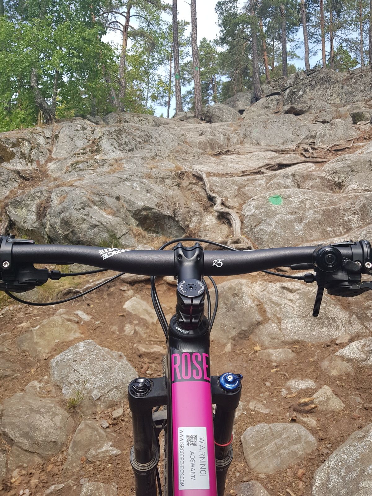 20180610_115311.jpg