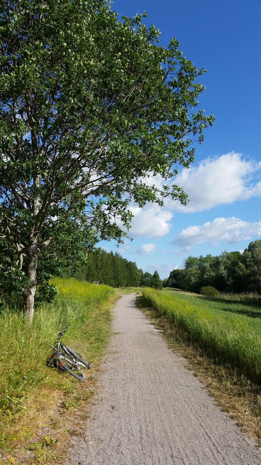 20180615_082337.jpg