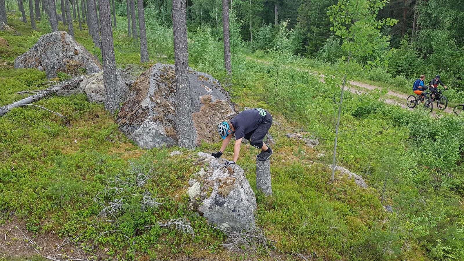 20180616_110125.jpg