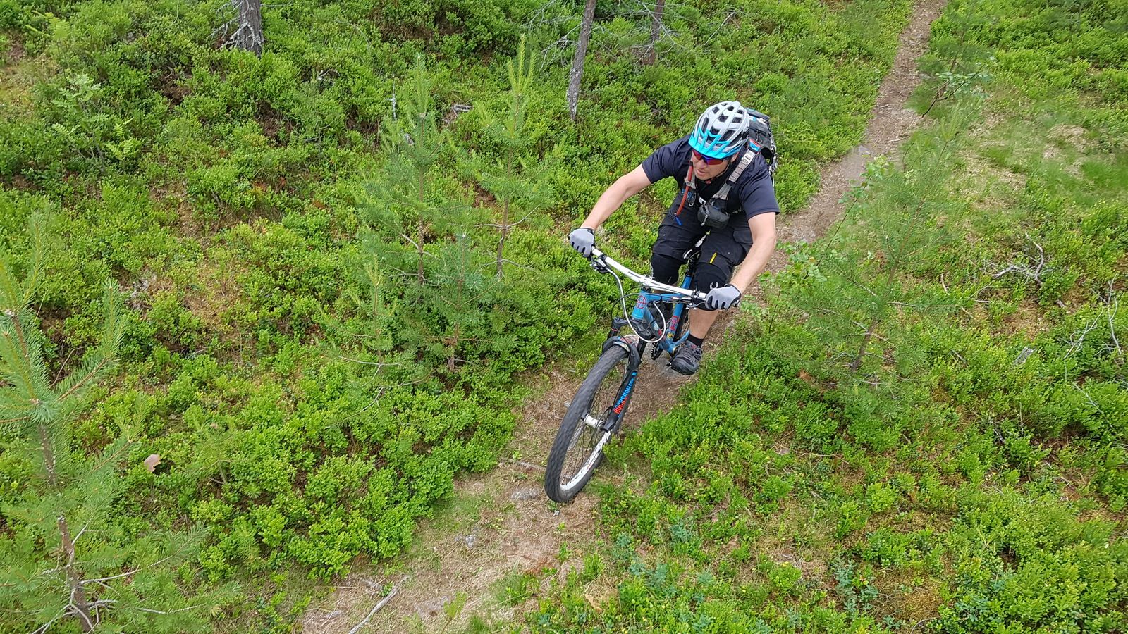 20180616_111811_001_01.jpg