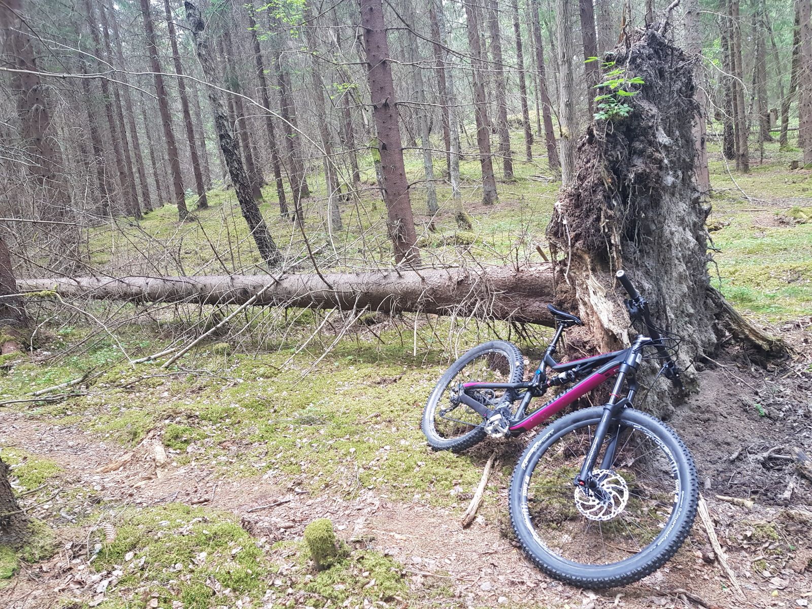 20180617_121402.jpg
