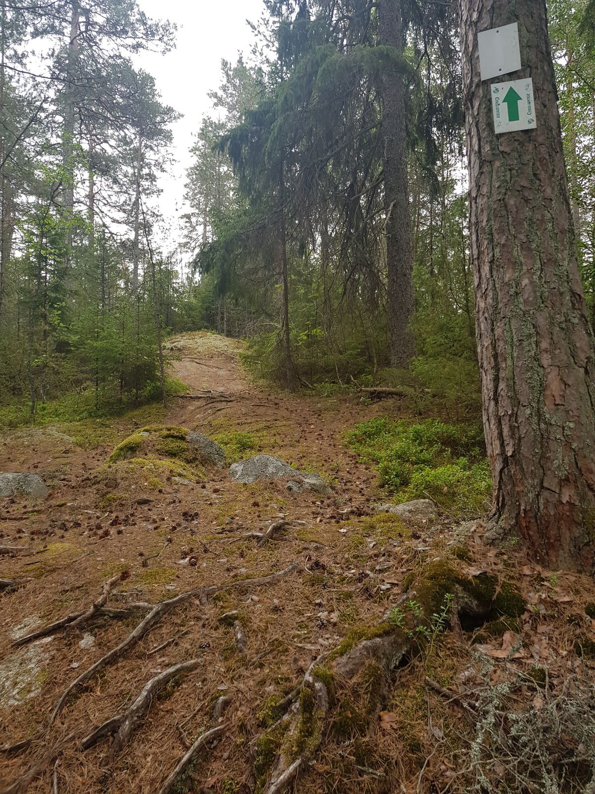 20180617_122154.jpg