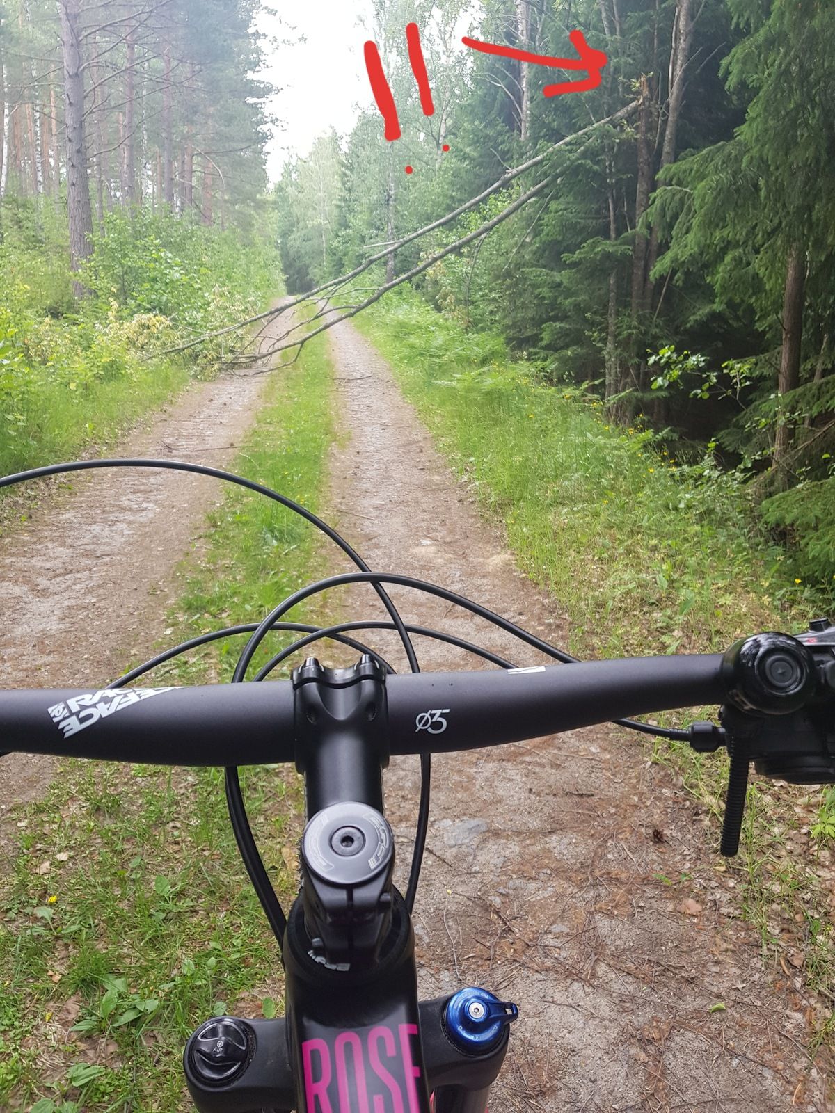 20180617_145550.jpg