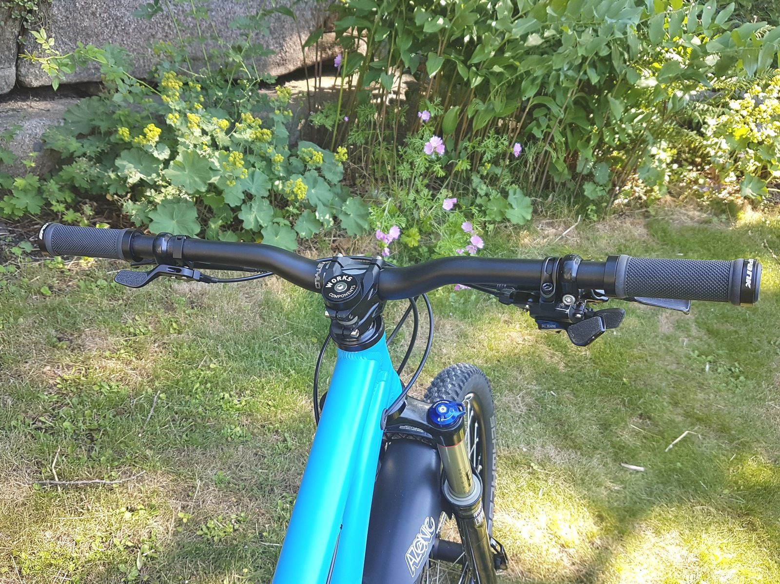 20180623_115611.jpg