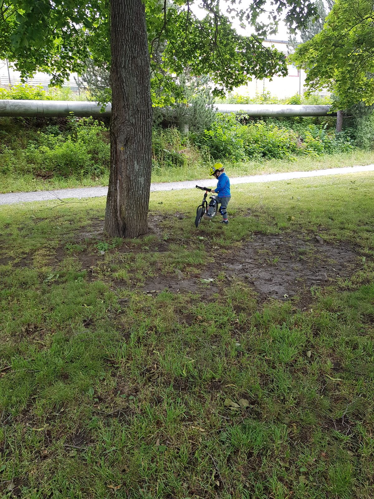 20180623_115742.jpg
