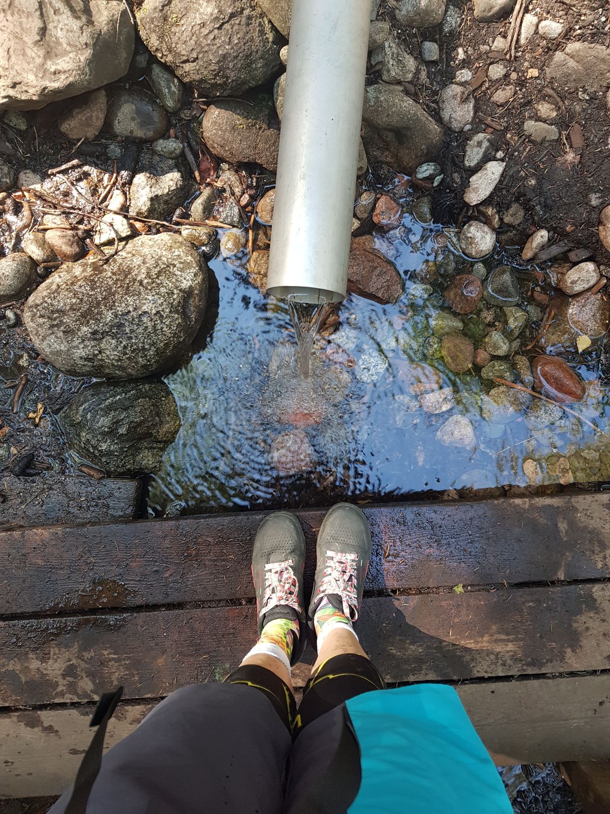 20180701_143824.jpg