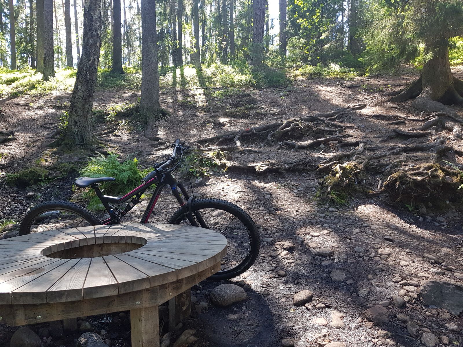 20180701_143837.jpg