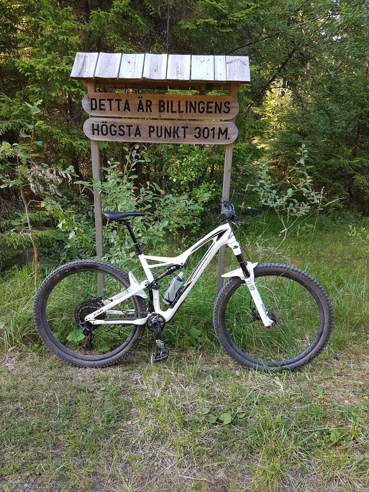 20180706_183021.jpg