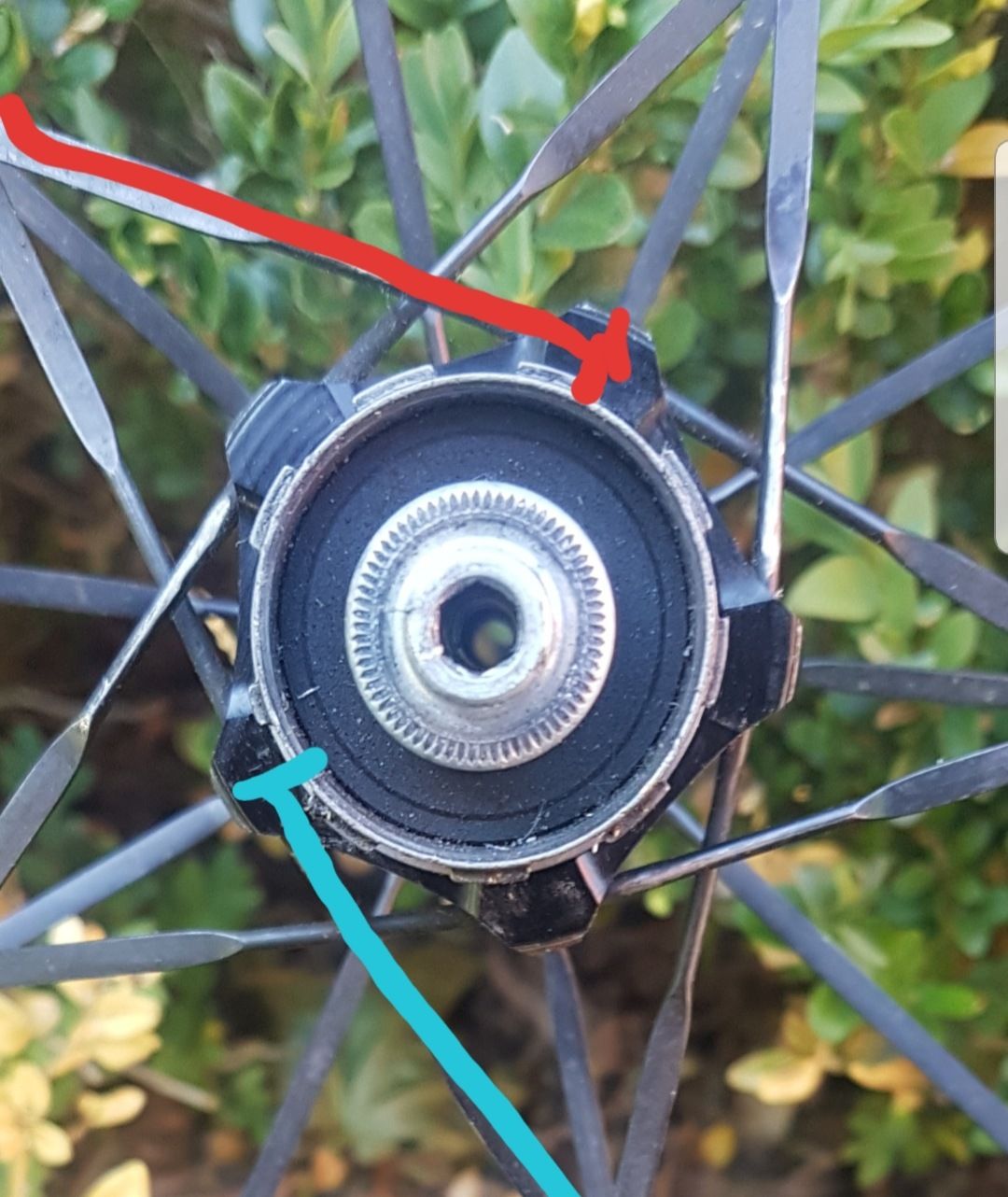 20180707_180320.jpg