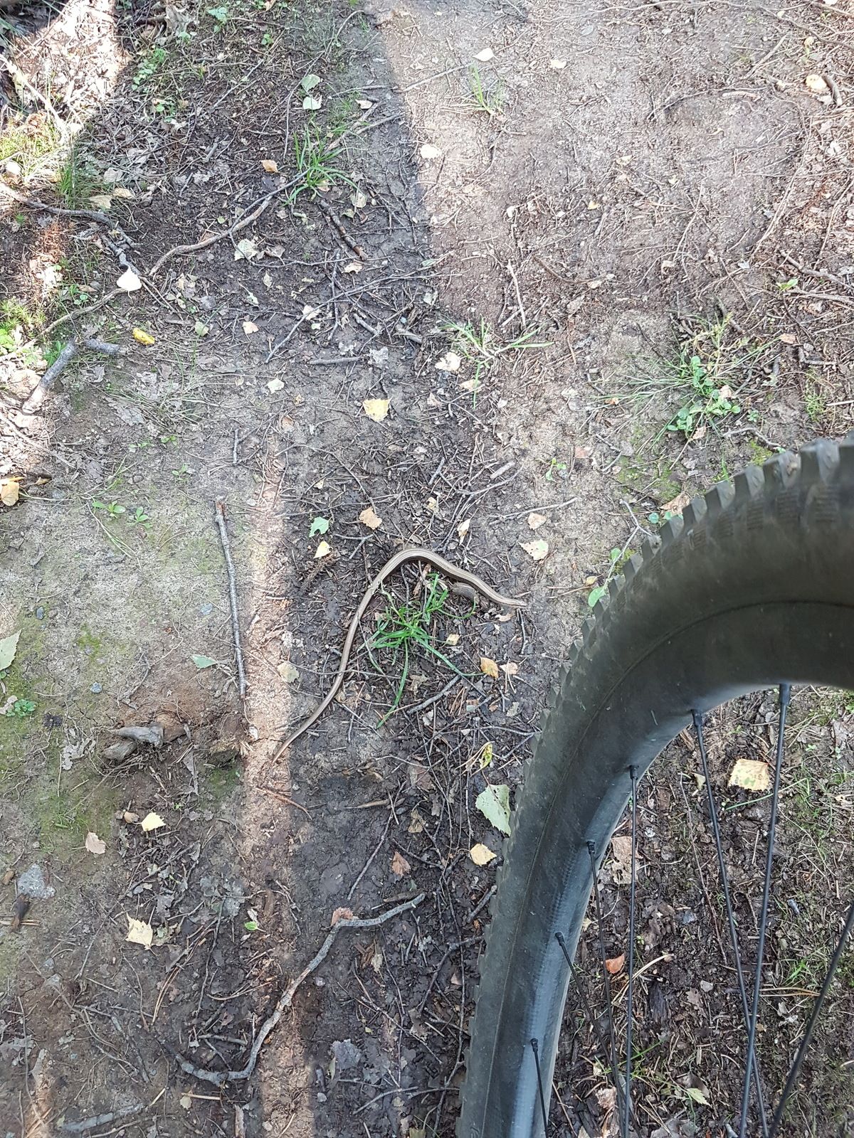 20180707_181919.jpg