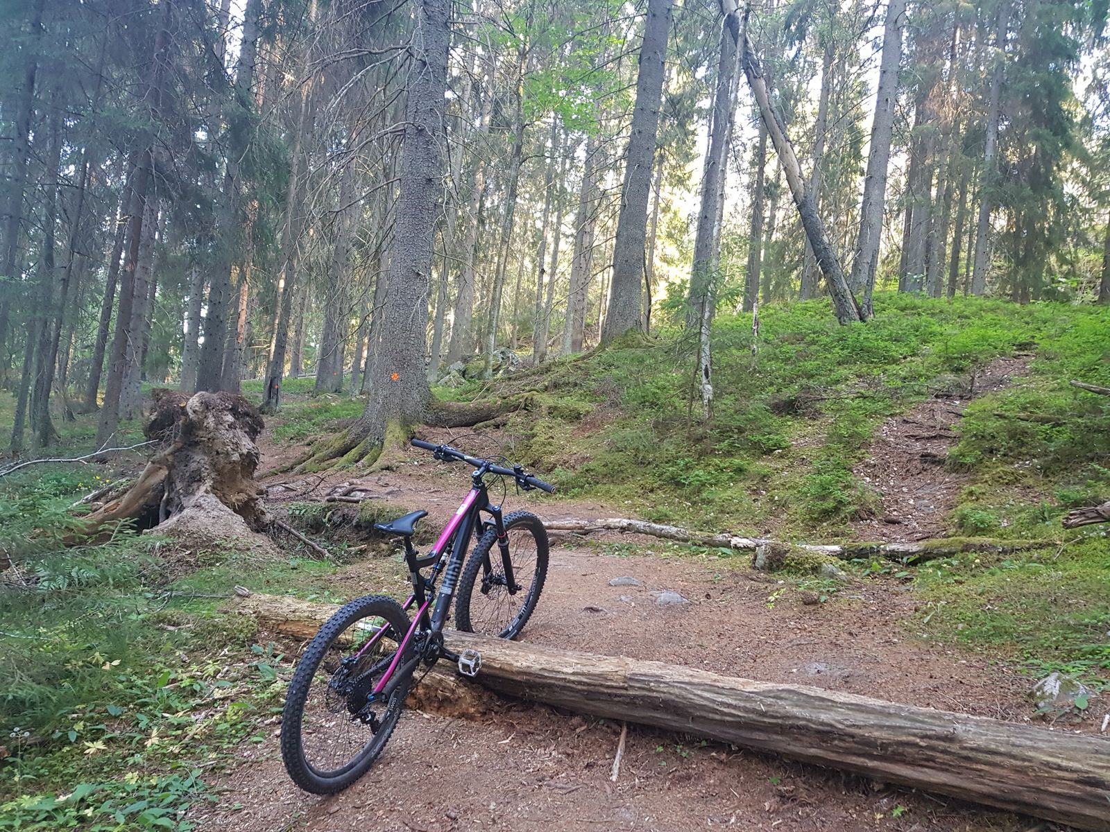20180707_184256.jpg