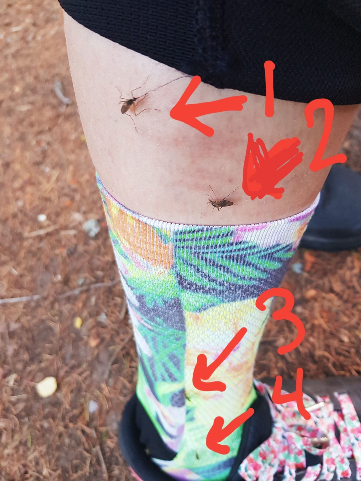20180708_181303.jpg