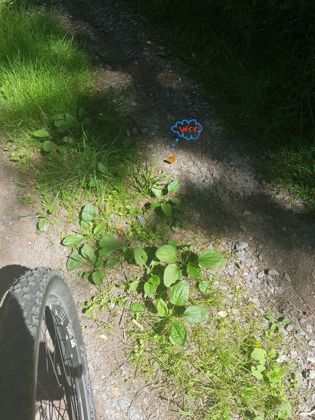 20180708_182335.jpg