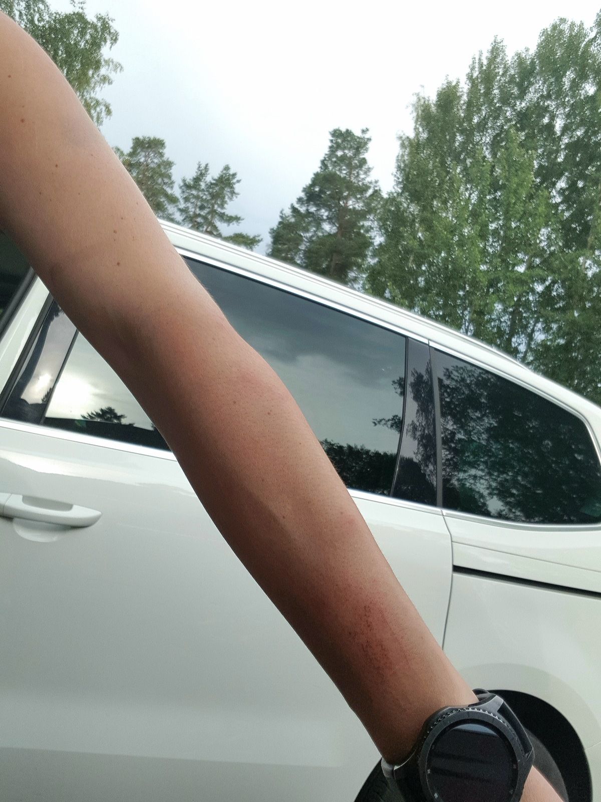 20180709_080440.jpg