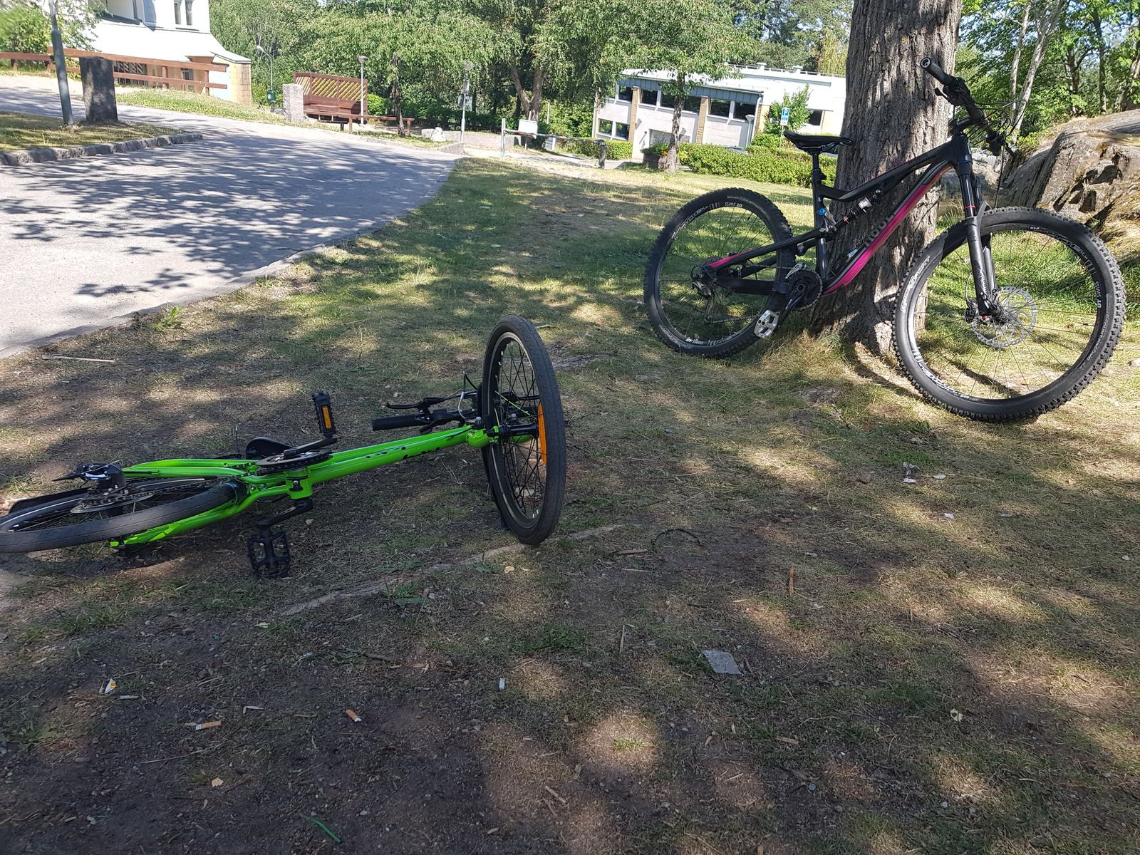 20180714_111314.jpg