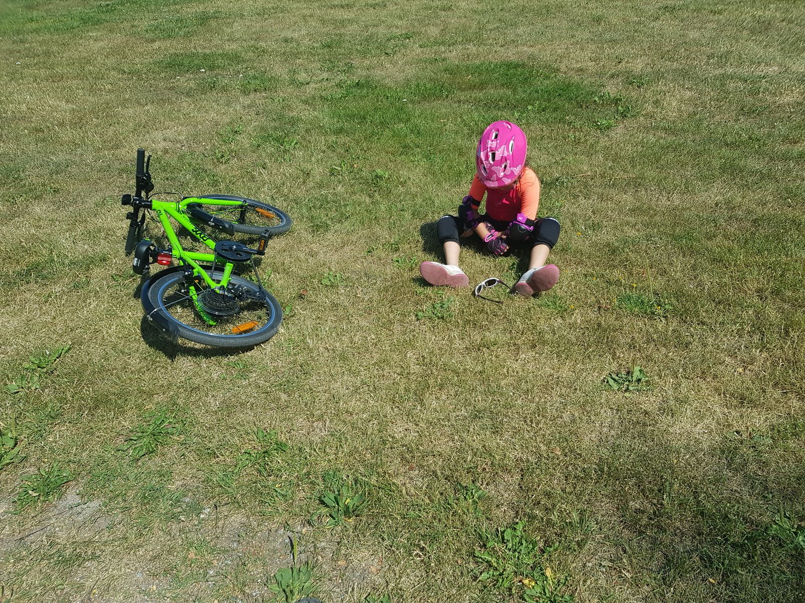 20180715_122726.jpg