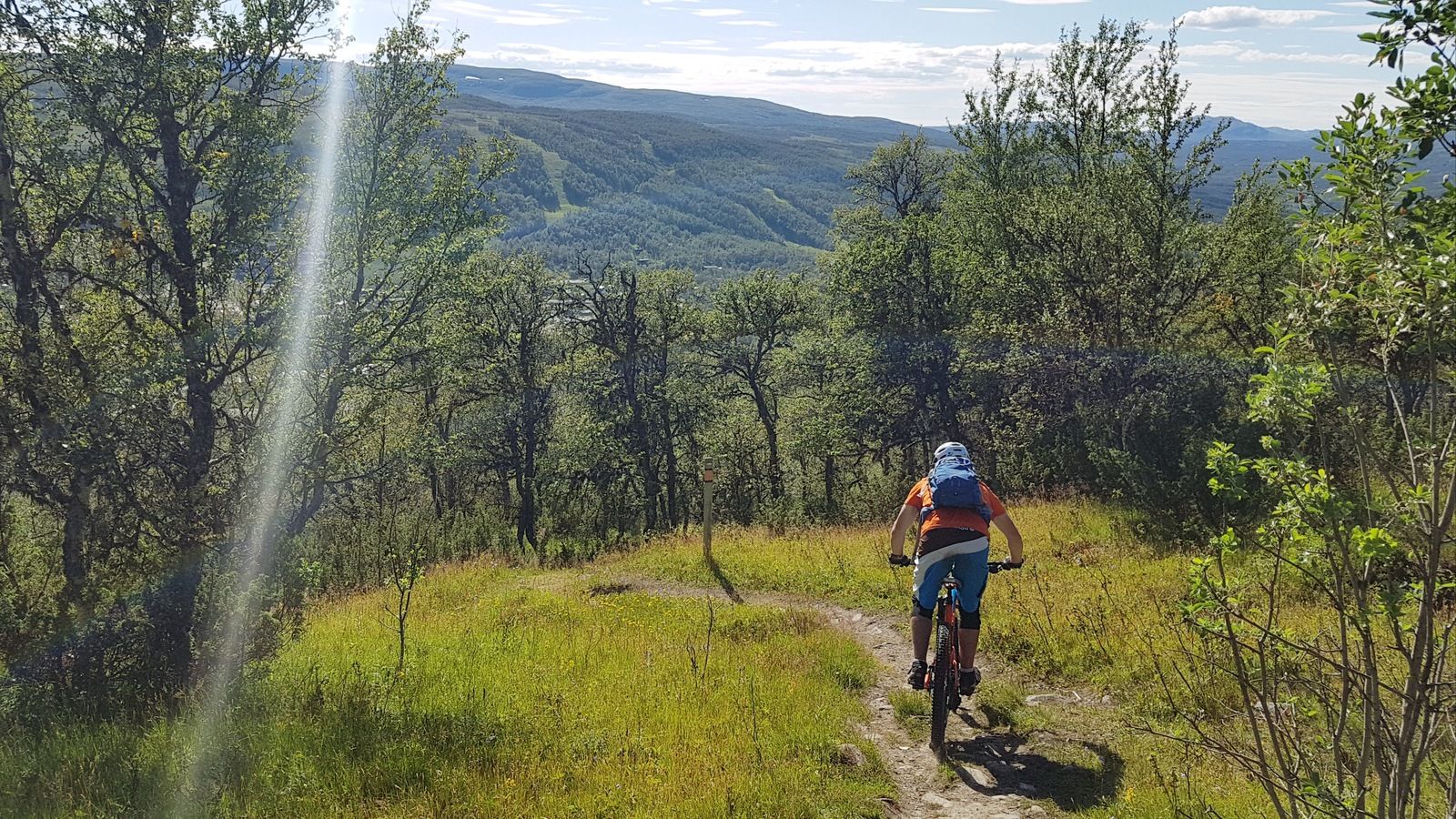 20180715_212211.jpg