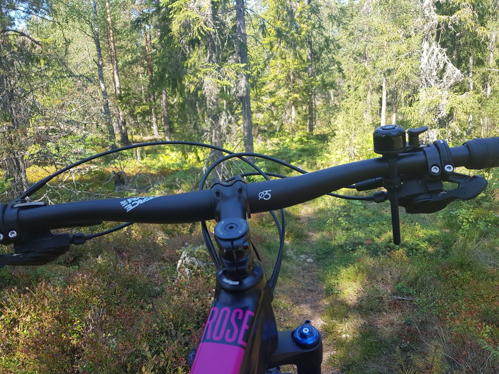 20180716_101733.jpg