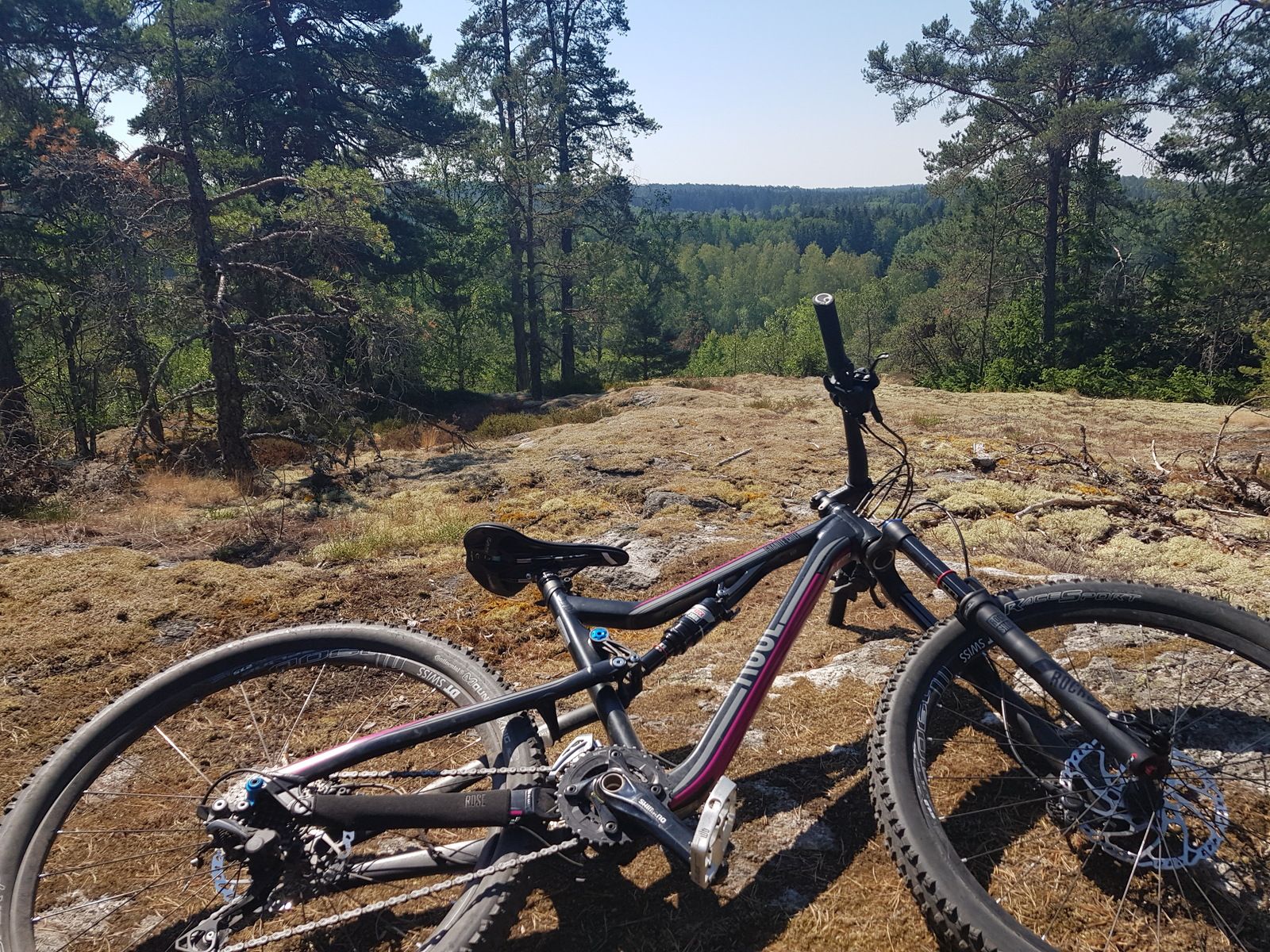 20180716_110831.jpg