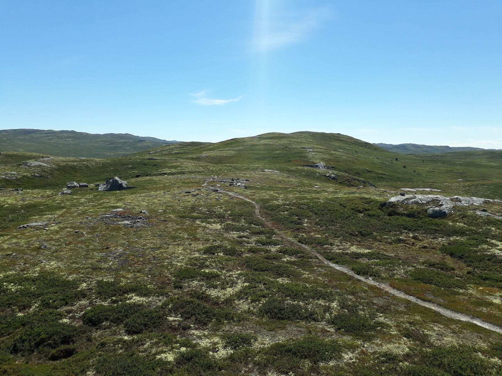 20180716_134243.jpg
