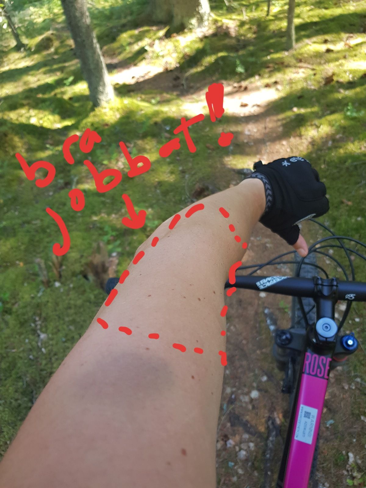 20180716_181226.jpg