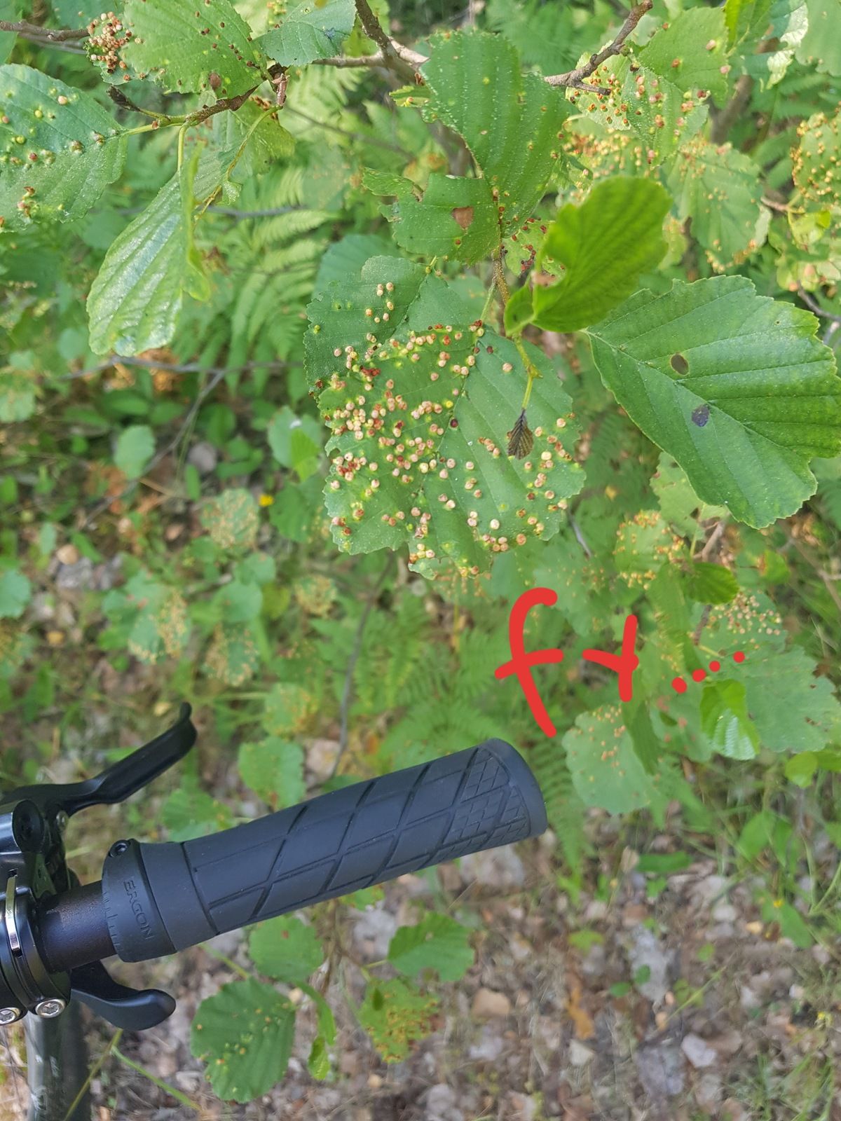 20180716_181300.jpg