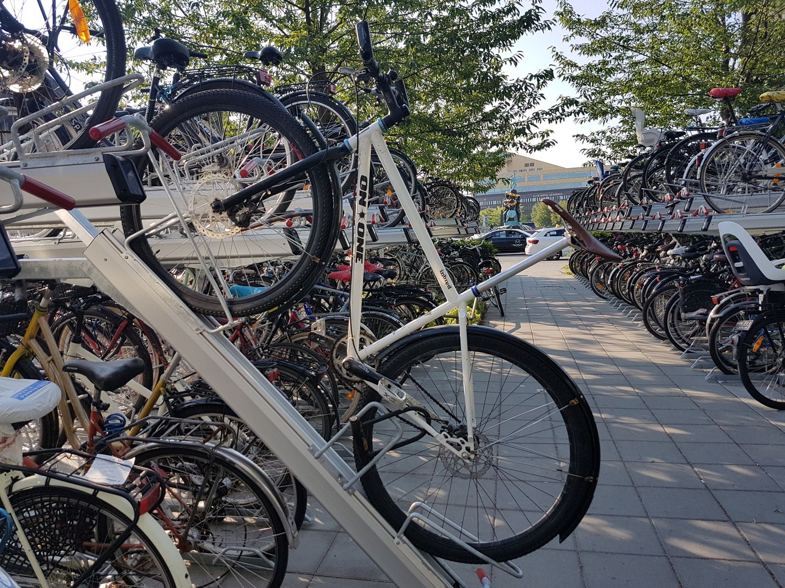 20180719_074411.jpg