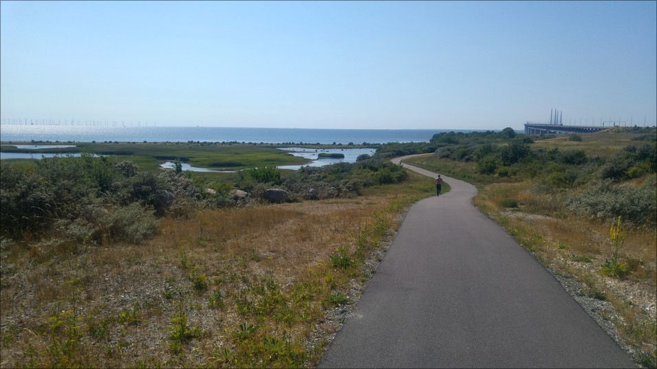 20180719_154335_HDR.jpg