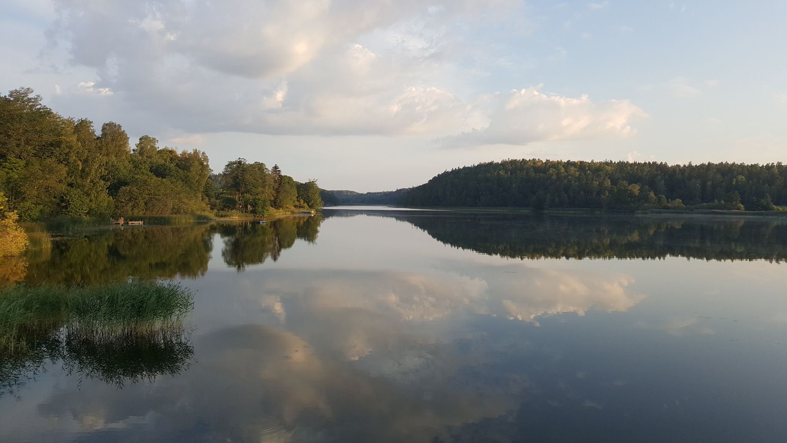 20180720_051254.jpg