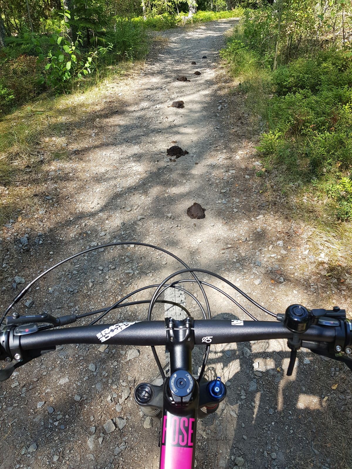20180720_124924.jpg