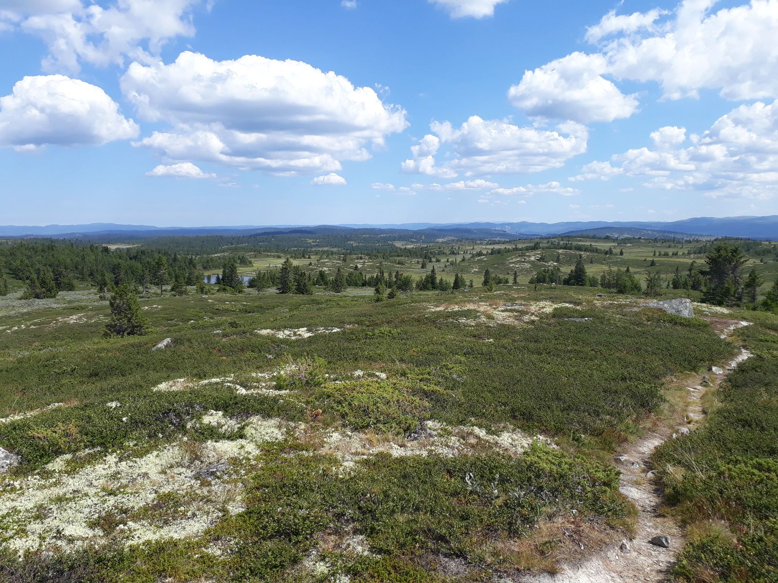 20180721_140648.jpg