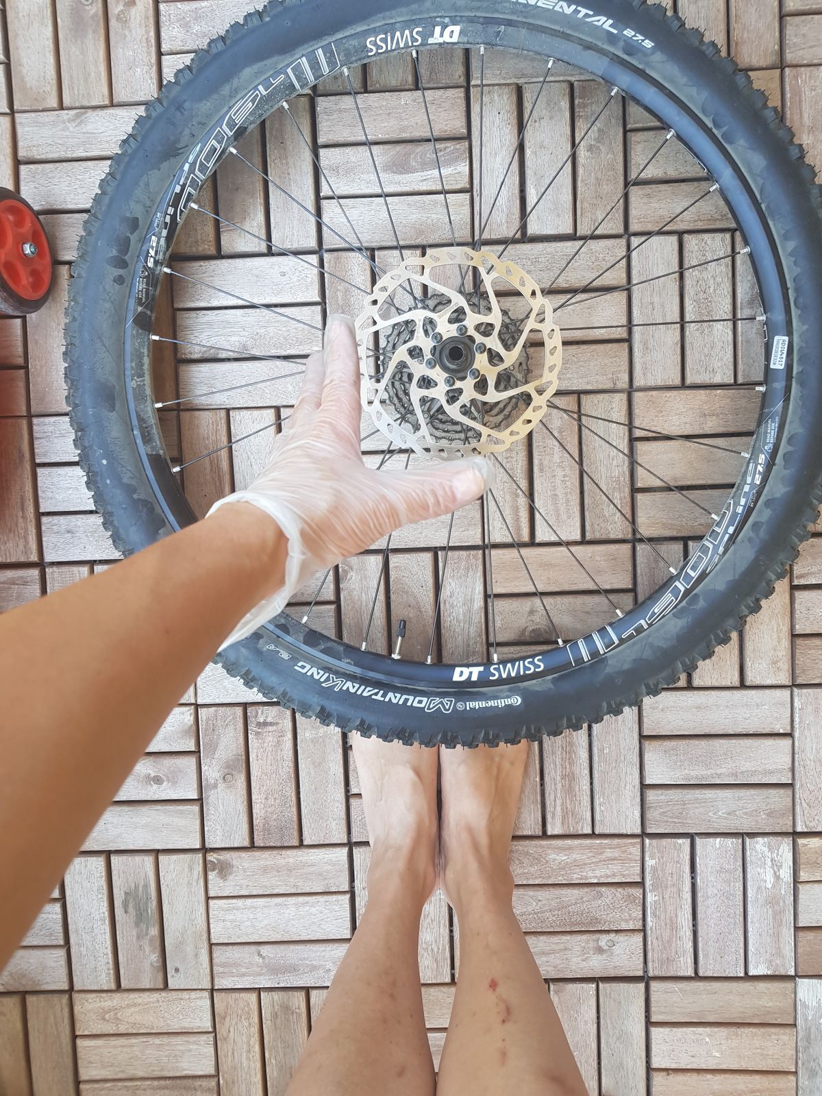 20180726_115354.jpg