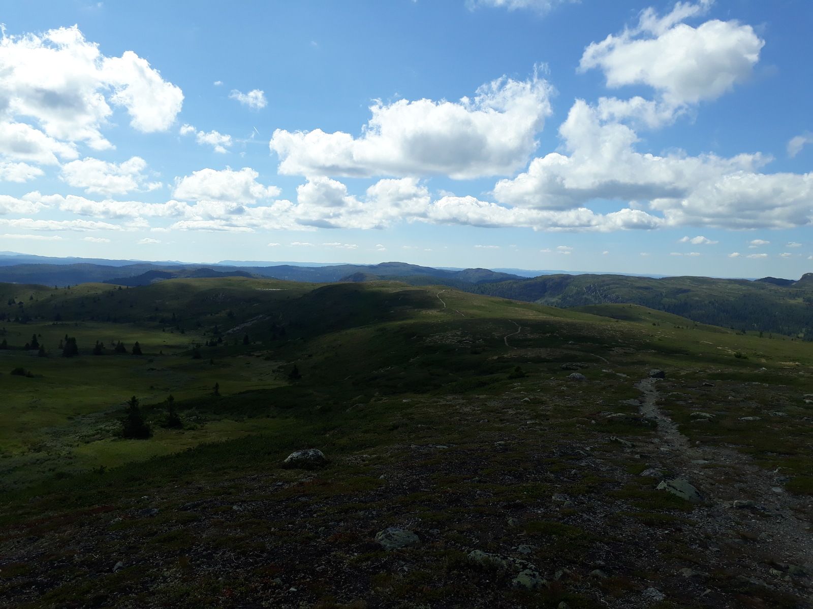 20180726_123048.jpg
