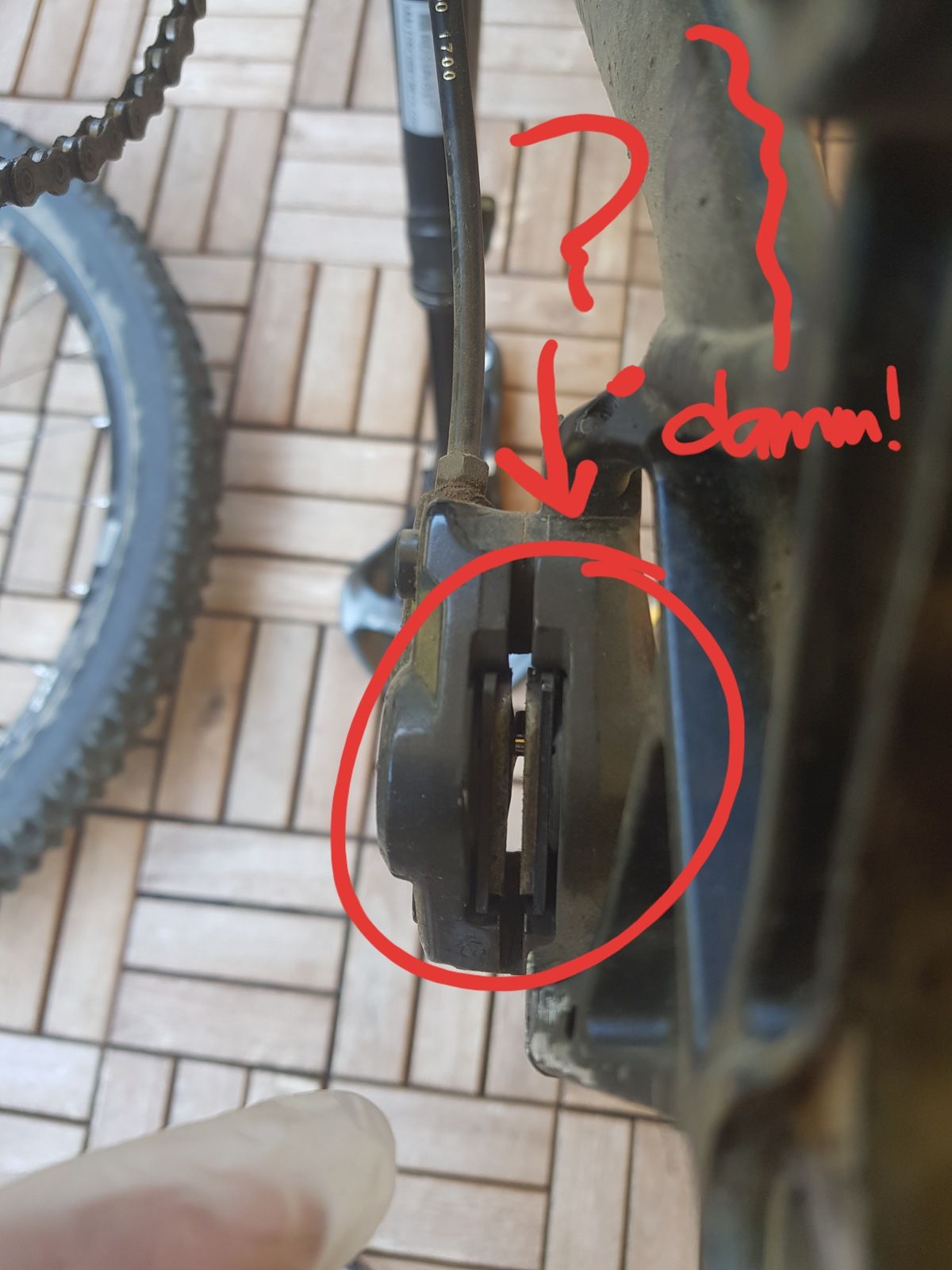 20180729_161224.jpg