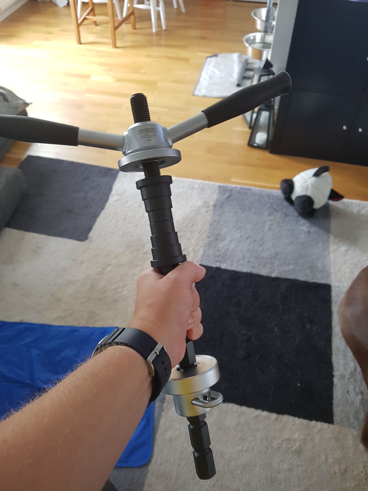 20180730_112154.jpg