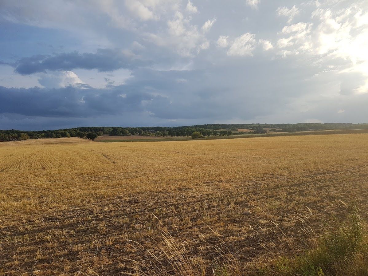 20180804_194112.jpg