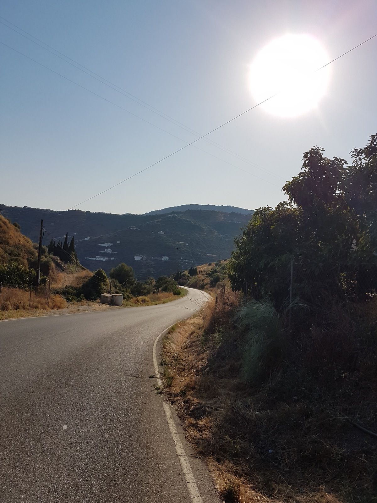 20180806_191144.jpg