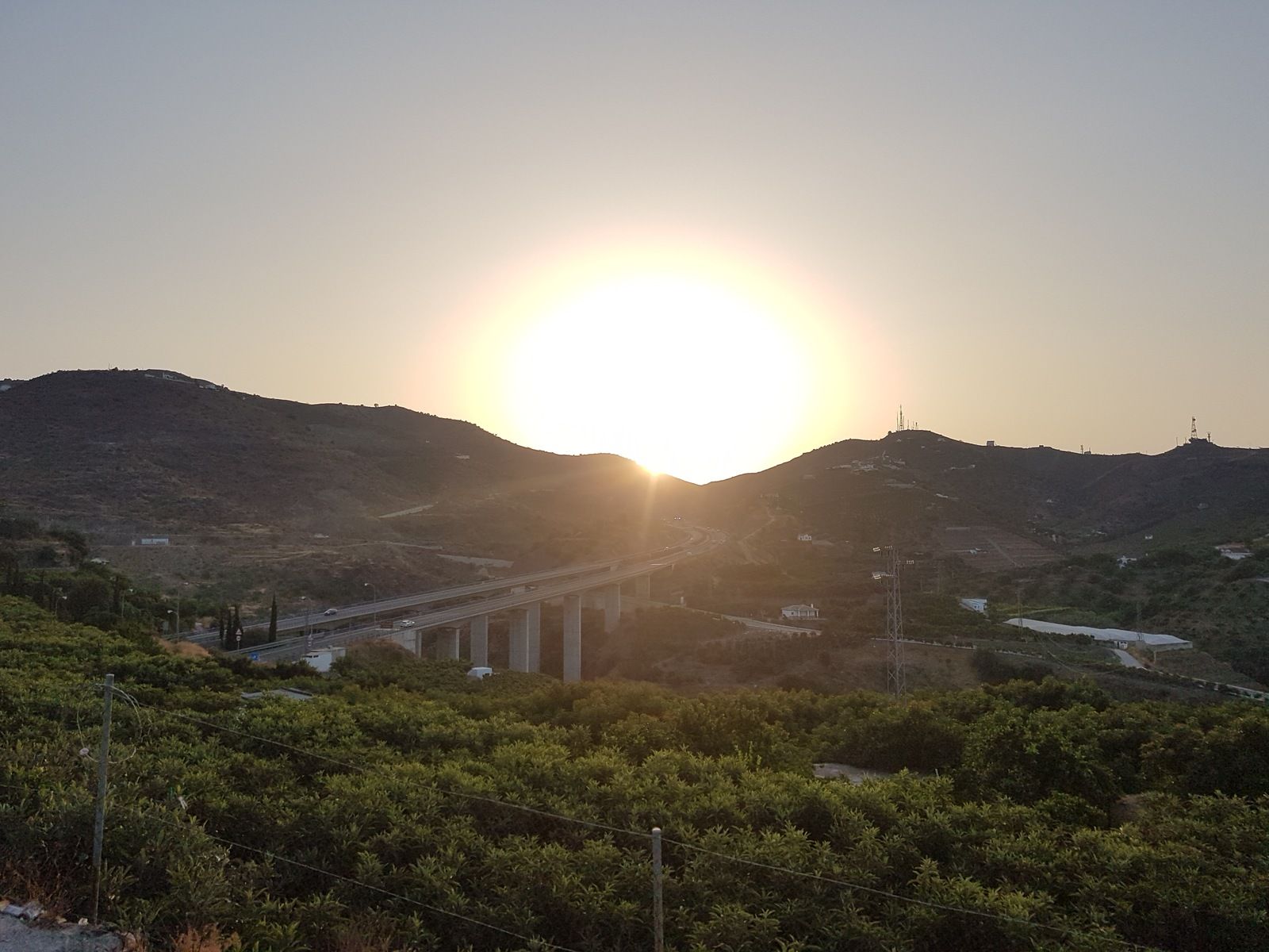 20180807_075726.jpg