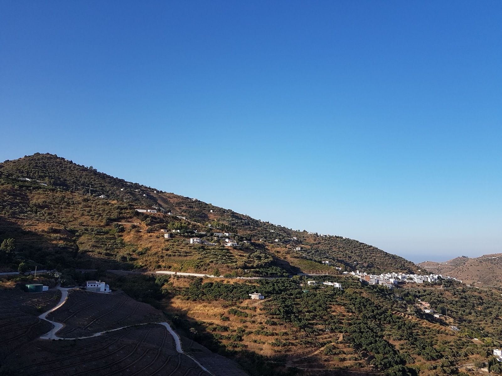 20180809_085746.jpg
