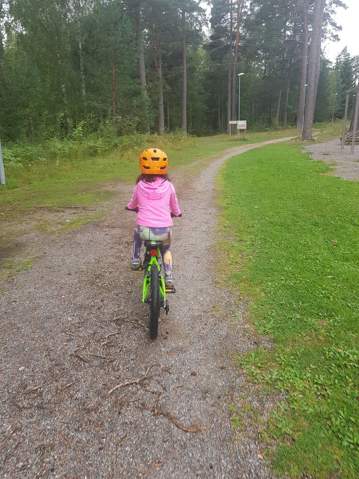 20180826_111236.jpg