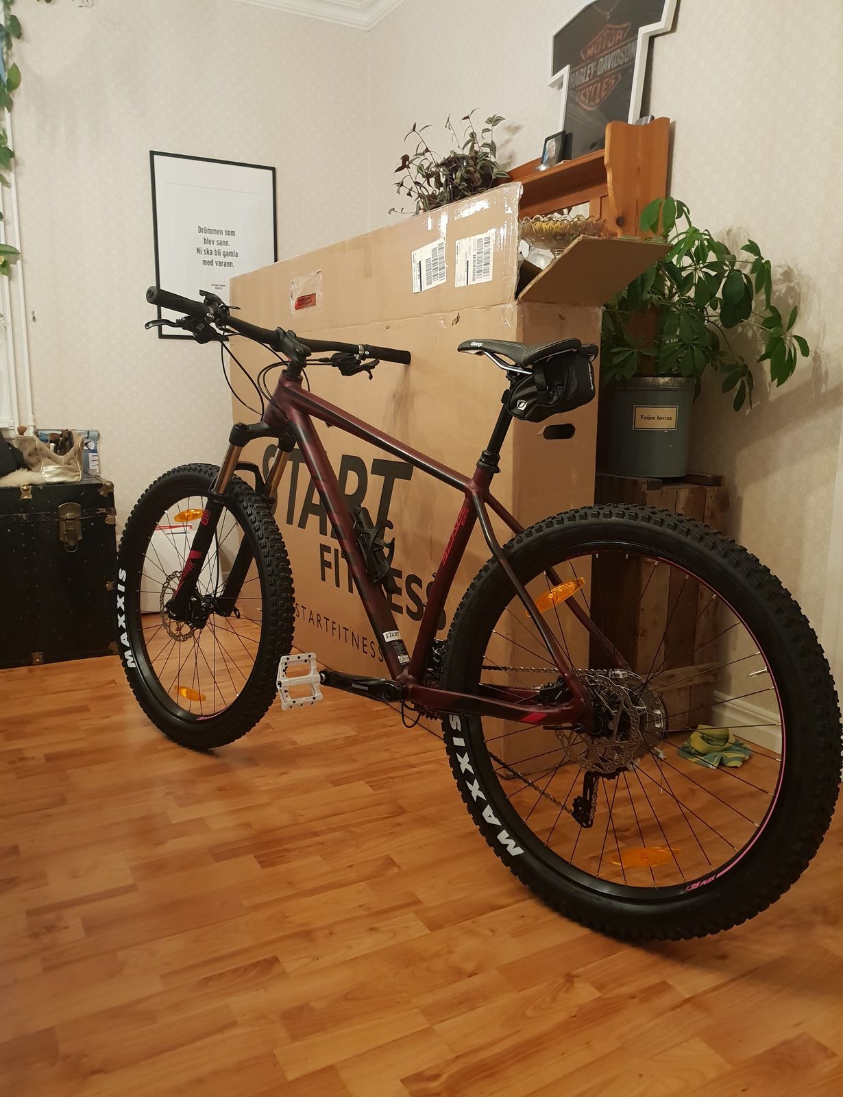 20180827_204103.jpg