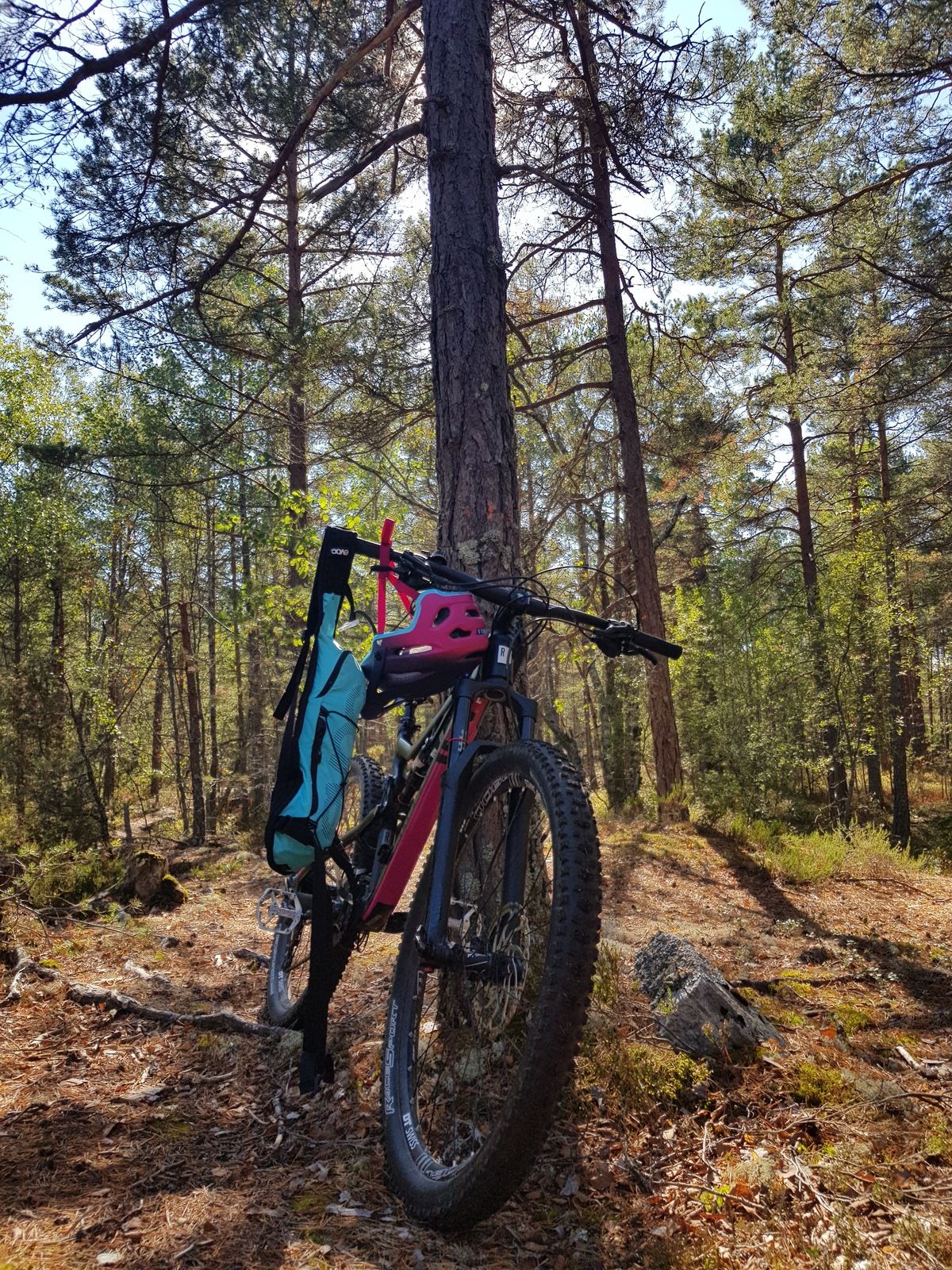 20180902_141817.jpg