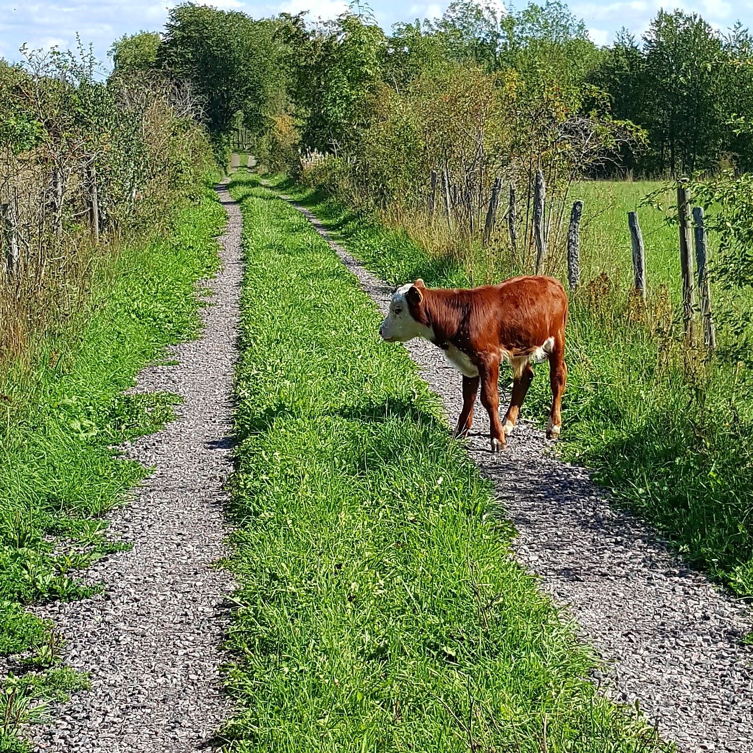 20180902_143850.jpg