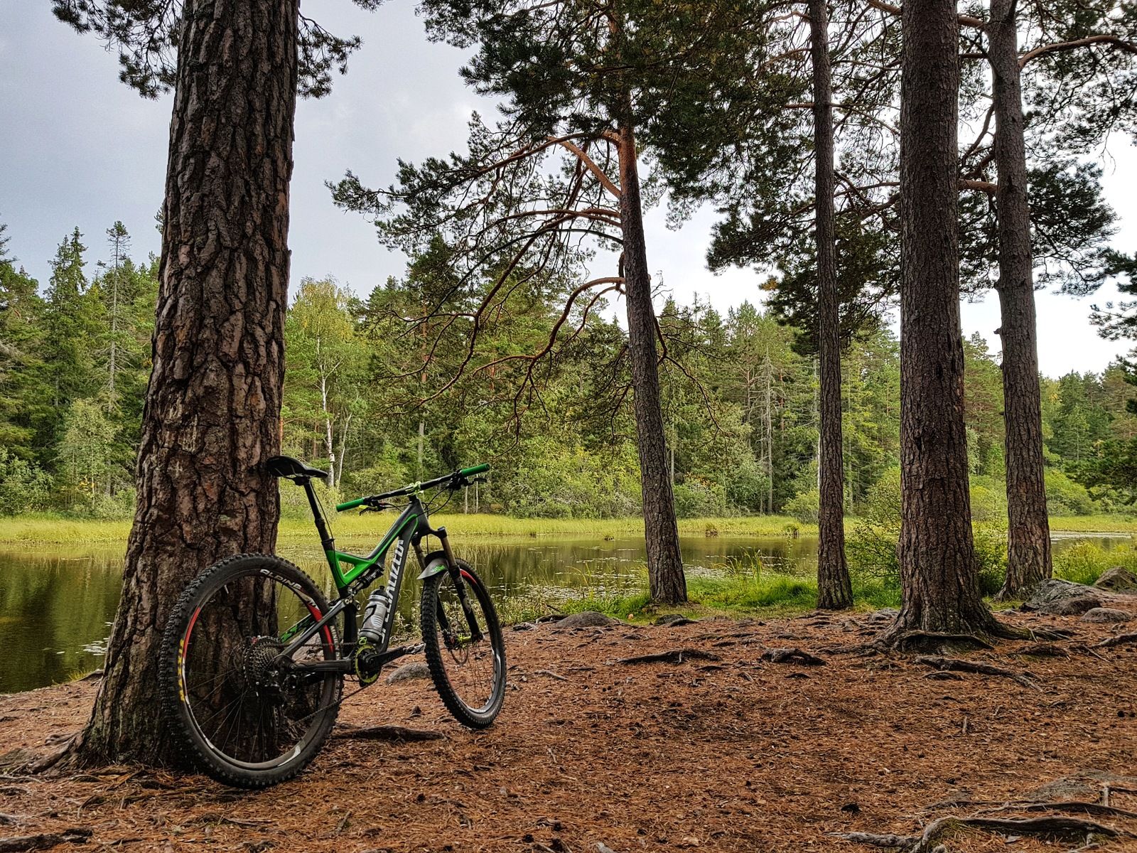 20180908_160937-01.jpeg