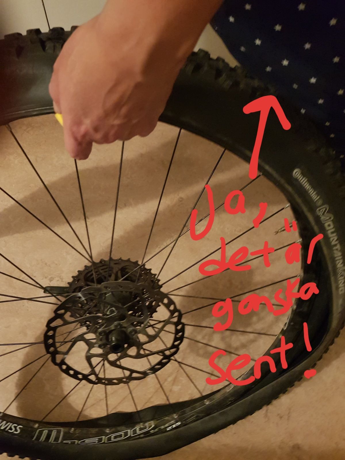 20180923_235621.jpg