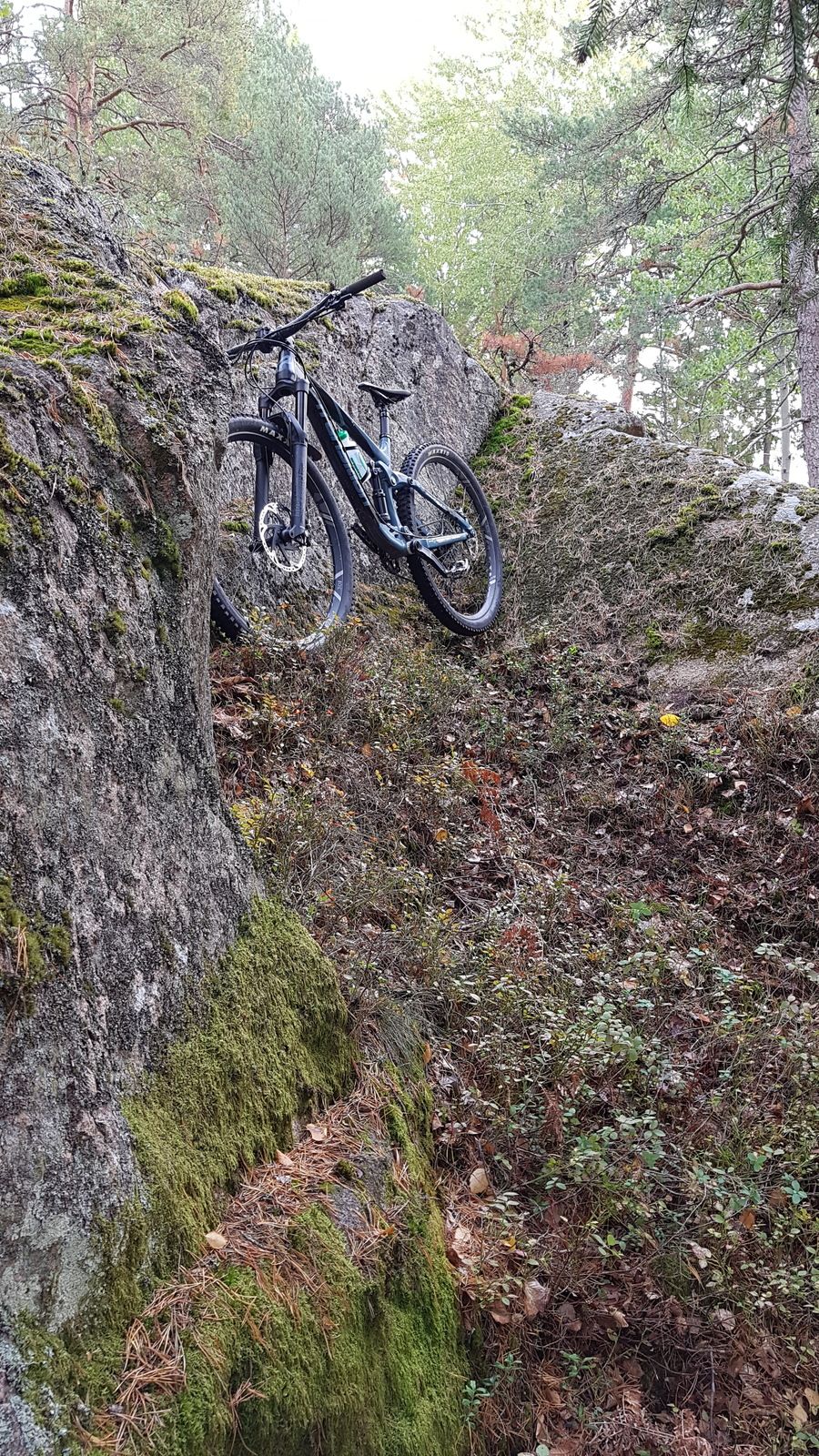 20180930_104247.jpg