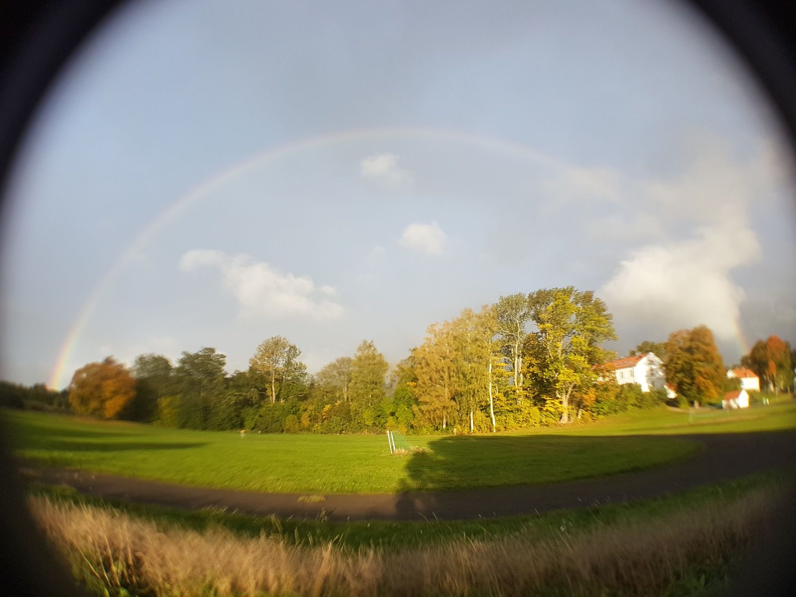 20181003_081123.jpg